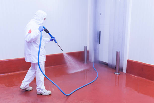 Best Concrete Sealing  in Llington, MI