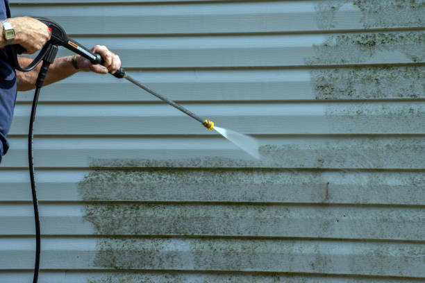 Best House Exterior Washing  in Llington, MI